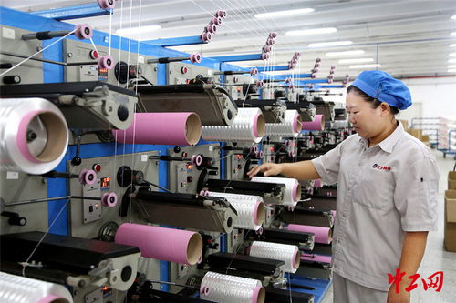 連云港外貿企業“雙輪驅動” 搶訂單與強技術并行，開拓出海新航道